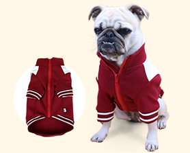 寵物衛衣|寵物用品生產廠家|東莞市琪美實業有限公司